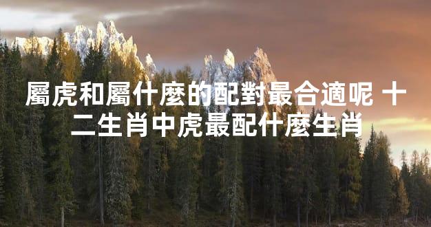 屬虎和屬什麼的配對最合適呢 十二生肖中虎最配什麼生肖